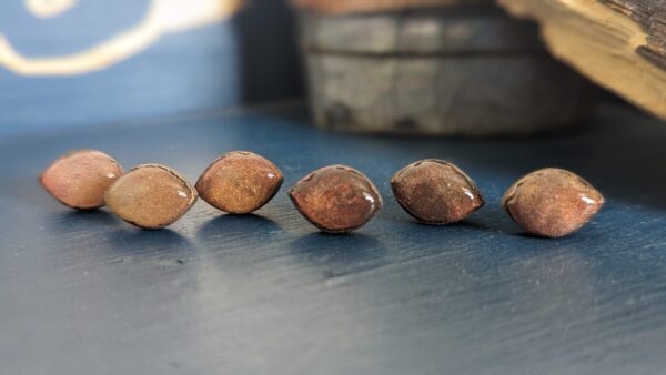 Russet Autumn Collection - Image 4